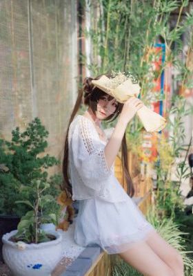山村秽乱全集